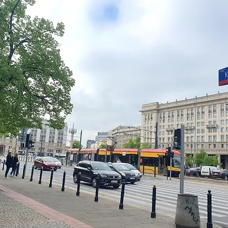 Flowers Flat In The Tenement *